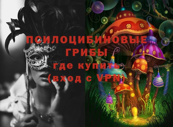 стаф Вязьма