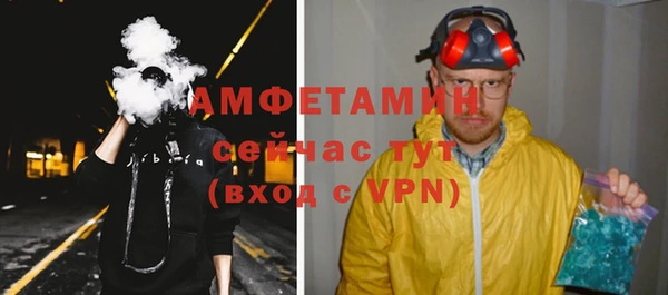 стаф Вязьма