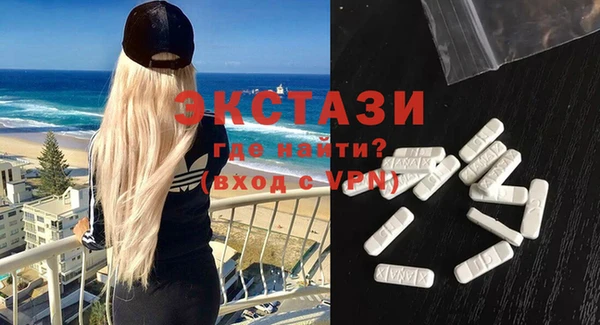 стаф Вязьма