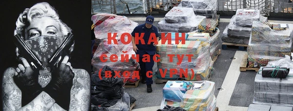 стаф Вязьма