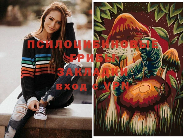 стаф Вязьма