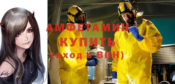 стаф Вязьма