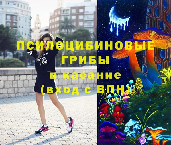 mix Вяземский