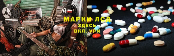 стаф Вязьма