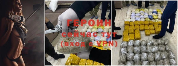 стаф Вязьма