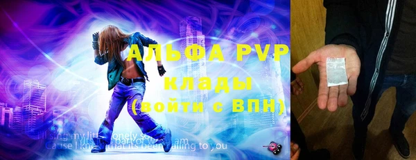 стаф Вязьма
