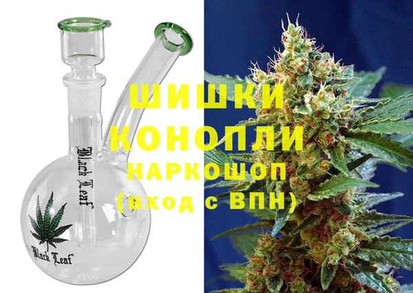 стаф Вязьма