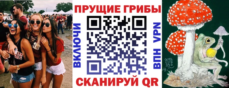 Галлюциногенные грибы прущие грибы  Очёр 